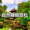 Concentración - 温暖的草地