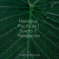 Musica Para Meditar、Musica para Meditar Especialistas、Canciones Para Niños - Consciente