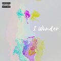 Sane - I Wonder (Explicit)