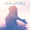 Nature Meditation Academy、Relieving Stress Music Collection - Close to Nature