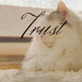 Mikael Manvelyan - Trust