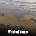 Chris Michols - Wasted Years