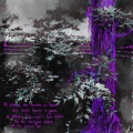 Connie Roses、Kastra - Nature's Fist (feat. Kastra)(Explicit)