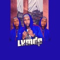 DJ LV MDP、Mc Anjim、MC Garoto、Mc Laranjinha、Mc Vh Diniz、Dj Jr、Dj Cayoo - Foge De Casa (Explicit)(feat. Mc Anjim MC Garoto Mc Laranjinha Mc Vh Diniz Dj Jr & Dj Cayoo版)