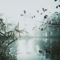 Yoga Music、Deep Sleep、Spa Music Relaxation - Hot and Cold