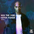 Cevin Fisher - The Power (Cevin's Hard Power Mix)