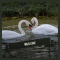 108 Music - Going East