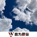 车载音乐汇、虞姬、圈妹、莹酱 - 绝口不提爱你