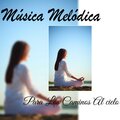 Musica De Reflexión - Anti Ansiedad