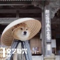 小徐 - 刀山火海