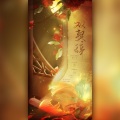 叶星笙、谷肙 - 双契辞