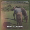 Lindon O. Kearne - Your Afternoon