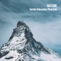Nature Sounds Nature Music、Sounds of Nature Noise、The Outdoor Library - Distant Mountain Rain