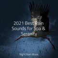 Massage Therapy Music、Sleep Makers Samples、Sound Sleeping - Strong Rain Vietnam