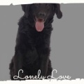 Andy Williams - Lonely Love