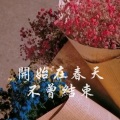 锦璃 - 阿拉斯加海湾