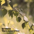 Nature Sounds Nature Music、The Outdoor Library、Rivers and Streams - Sinfonía de la noche de la naturaleza