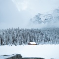 Oceanic Yoga Pros、Massage、Mother Nature FX - Falling Asleep Softly