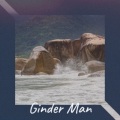 John Lee Hooker - Ginder Man