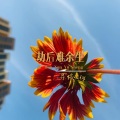莫小博 - 劫后难余生