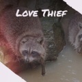 The Brazos Valley Boys - Love Thief