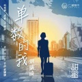 刘瑞琦 - 单数的我