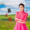 闫辽艳 - 荞麦花