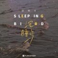 赵栖兑 - 沉睡鸟