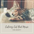 Anxiety Relief - Healing Music