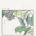 Vespucci、ØZI陈惟凡 - Tamashi