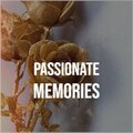 Paul Curtis - One Last Drive