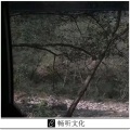 引燃 - 黄金嗨曲慢拉大神