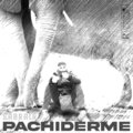 Sabrack - Pachiderme (Explicit)