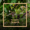 Francesco Giovannangelo - Introspective Search