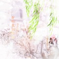 乔芮 - 狐狸的童话