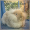 JERRY WALLACE - Run Rabbit Run