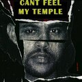 Electro Zone - Can't feel my temple