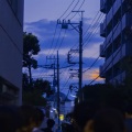 马也_Crabbit - 尘埃