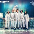Blossoms - How Long Will This Last? (VanzelrRemix)
