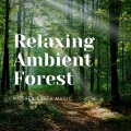 Natsound、Sounds of Nature Noise、Weather and Nature Recordings - Walk in the Forest