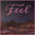 tommy collins - Feel