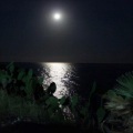 Destino - L'isola Nelle Tenebre