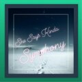 Solex - She Says Kinda Symphony
