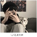 在忠、枫总、尹飞 - 滴追跑马哥