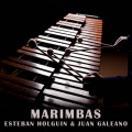 Electro Zone、Esteban Holguin、Juan Galeano - Marimbas (feat. Esteban Holguin & Juan Galeano)