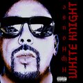 White Knight、Fast Eddie - Girls Get Dumb (feat. Fast Eddie)(Radio|Explicit)