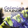 Relaxing Evening Music Universe - Spiritual Music
