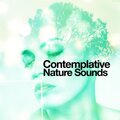 Outside Broadcast Recordings - Feathered Friends