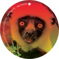 Joe Mesmar - Emotions On Fire