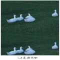 法迪、代总 - Now Youre Gone